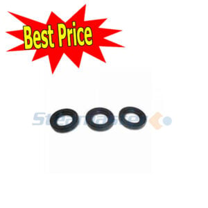 Interpump Kit 2 Oil Seal Crankcase1 300x300