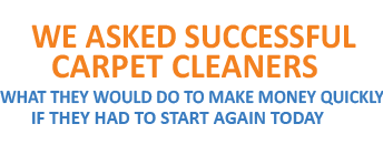 Successful Carpet Cleaners Guide