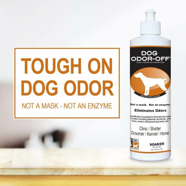 dog odor off 16oz soaker bottle