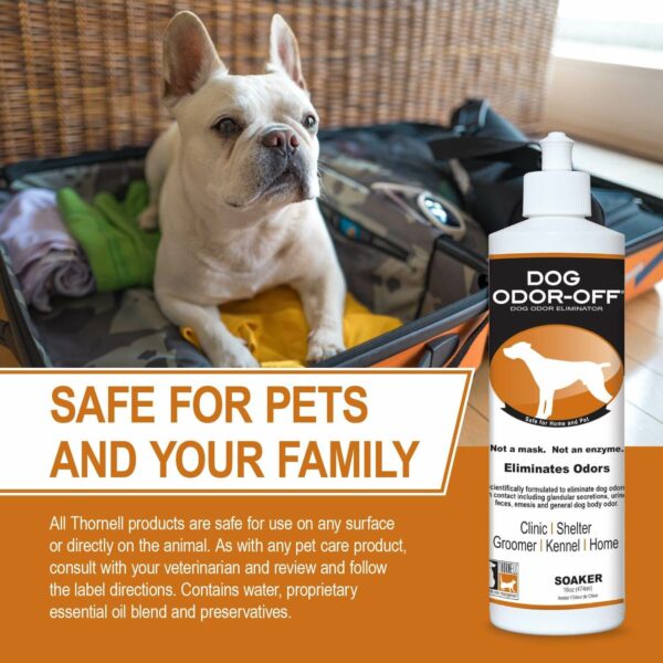 Safe for Pets and Your Family